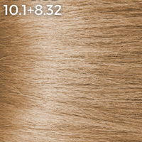 10.1 + 8.32 - Vanilla