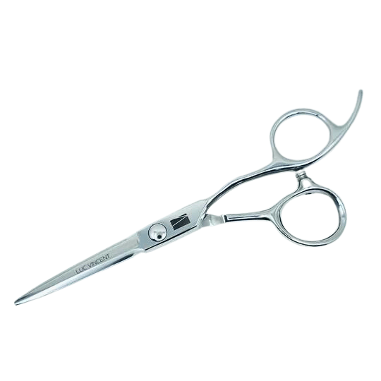 Ergonomic 5.5-inch straight scissors Luc Vincent