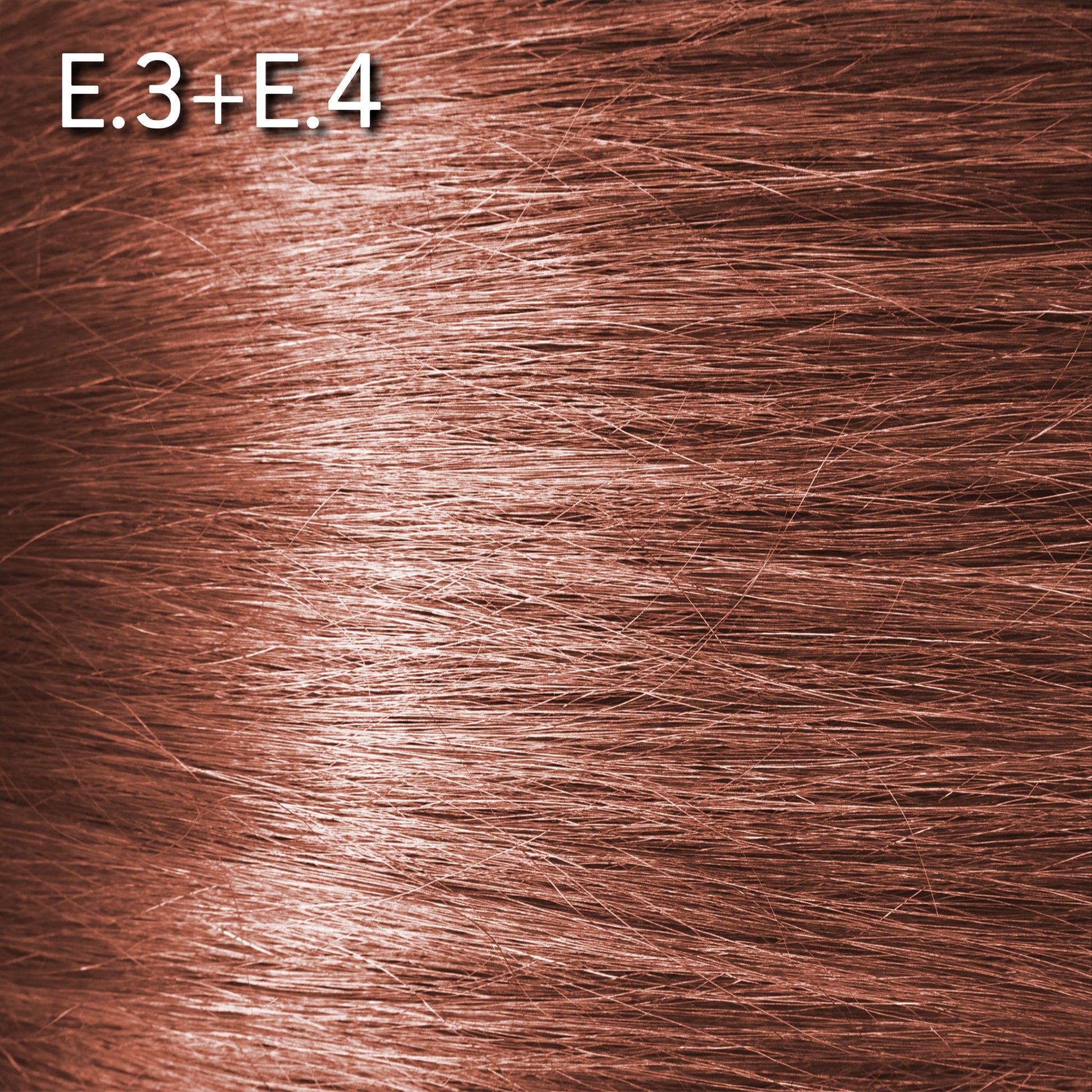 E.3 + E.4. TERRA COTTA - Luc Vincent