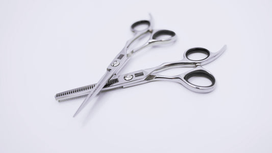 Set of professional Luc Vincent Scissors